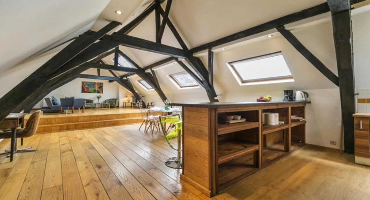 Spacious Duplex In Brussels Historical Center Apartment