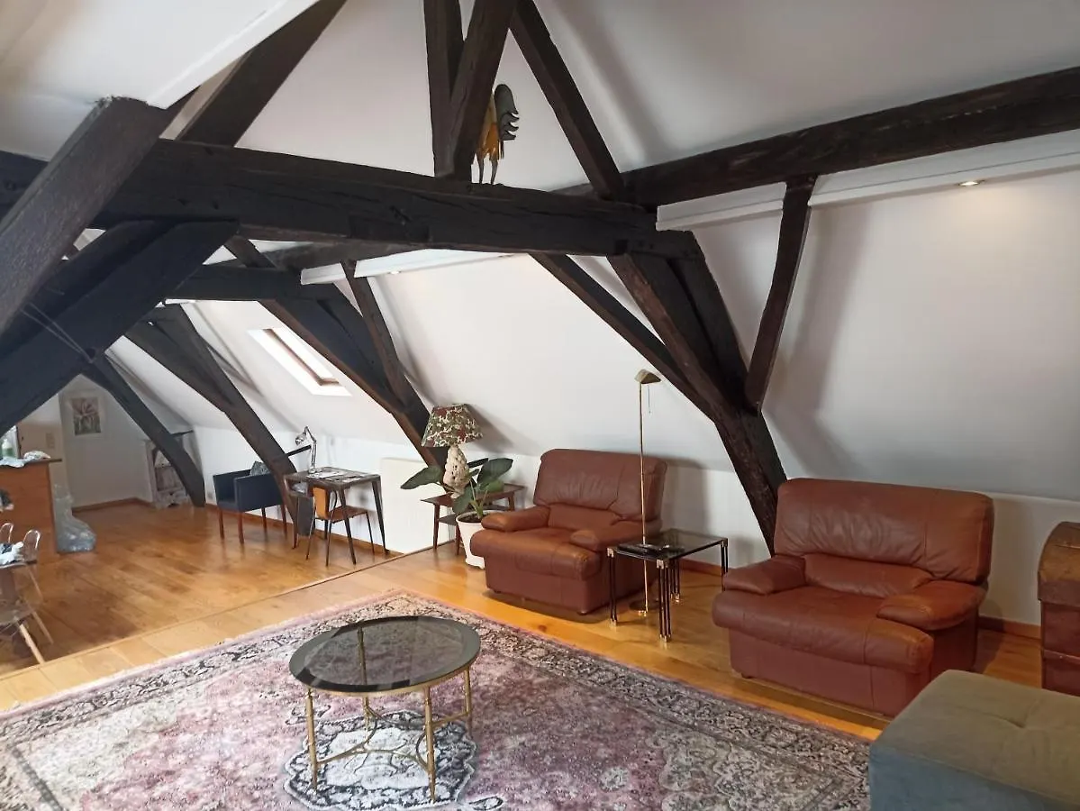 Appartement Spacious Duplex In Brussels Historical Center