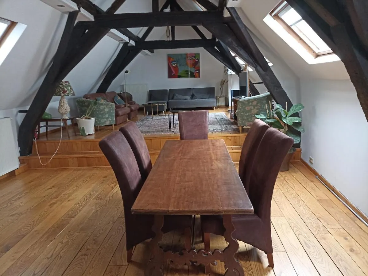 Appartement Spacious Duplex In Brussels Historical Center Belgique