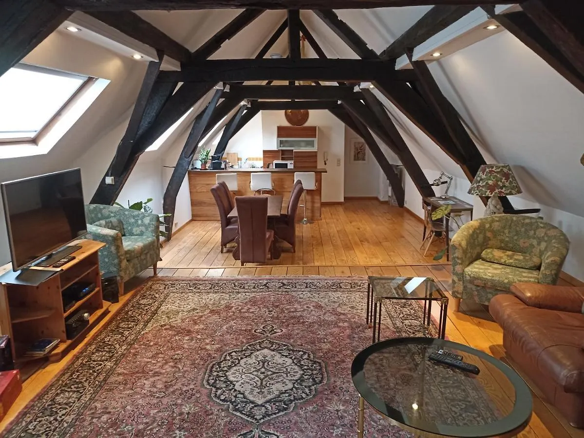 Spacious Duplex In Brussels Historical Center Appartement
